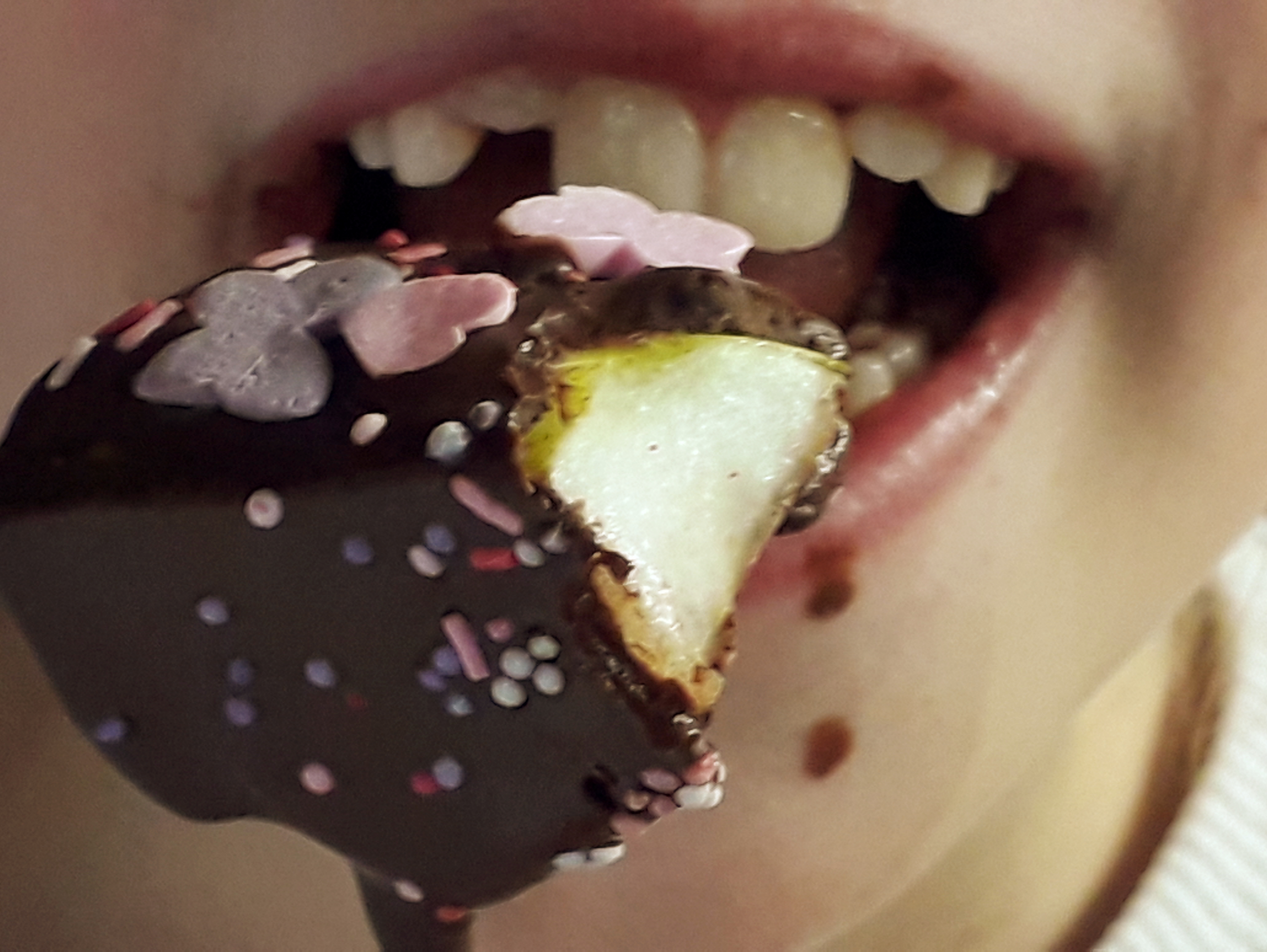 Fruits caches manon deloche