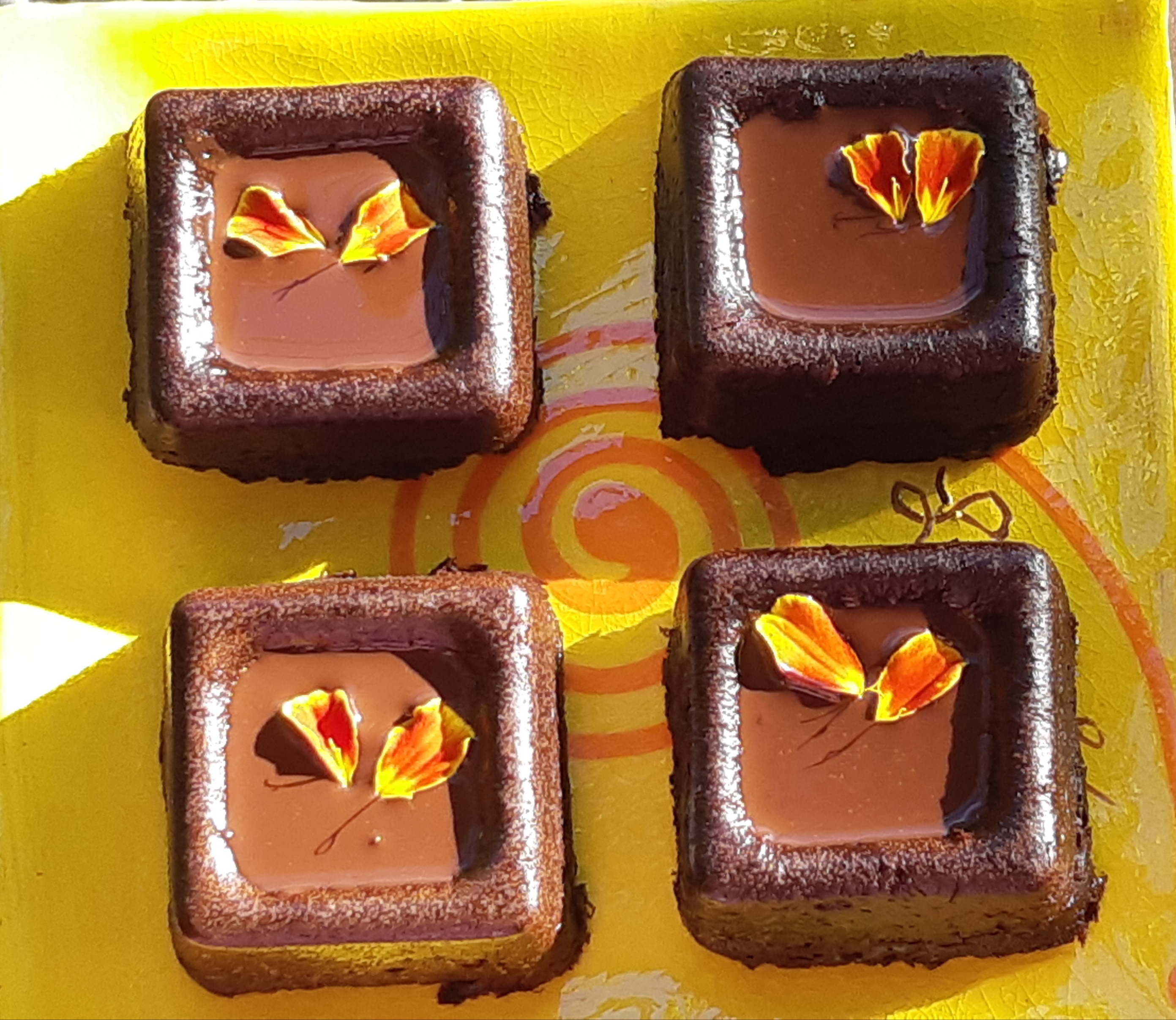 gateau choco basse cal manon deloche2