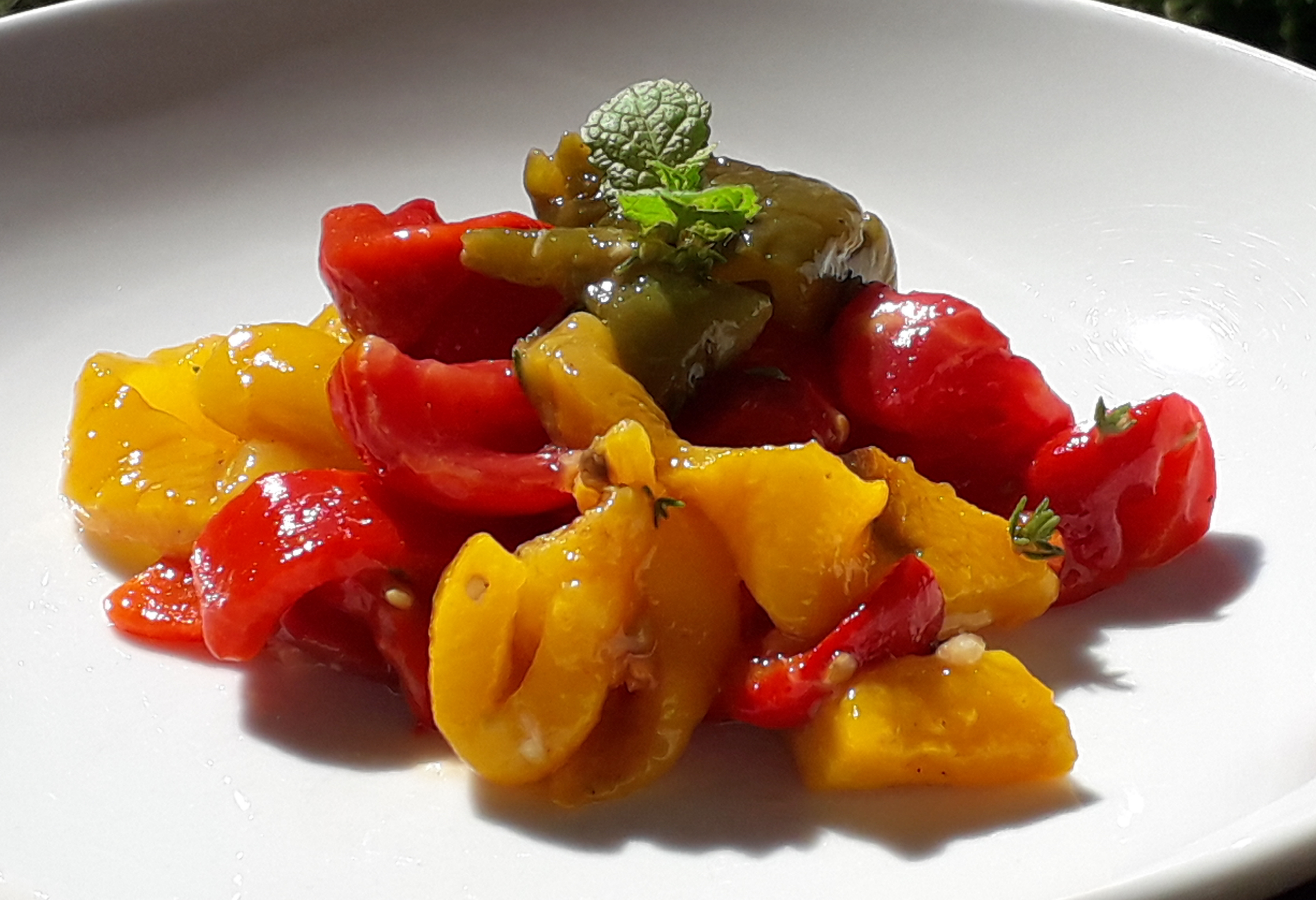 Transmettre manon deloche